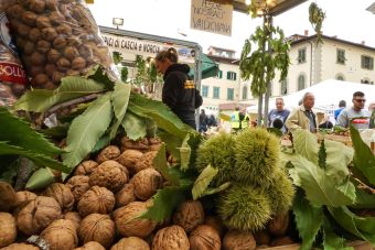 La festa del Perdono di Terranuova Bracciolini
