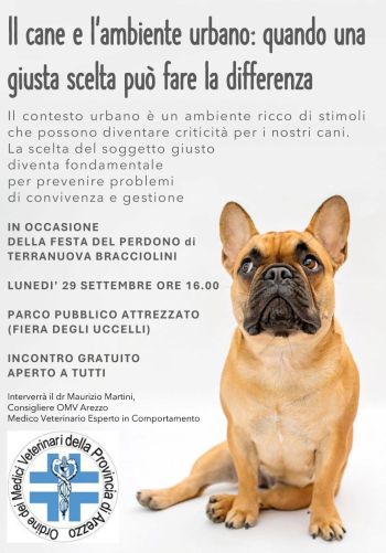 il cane e l'ambiente urbano: quando una giusta scelta può fare la differenza