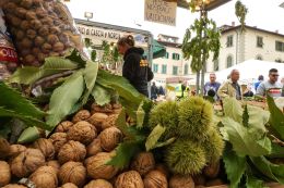 Le origini del Perdono di Terranuova Bracciolini